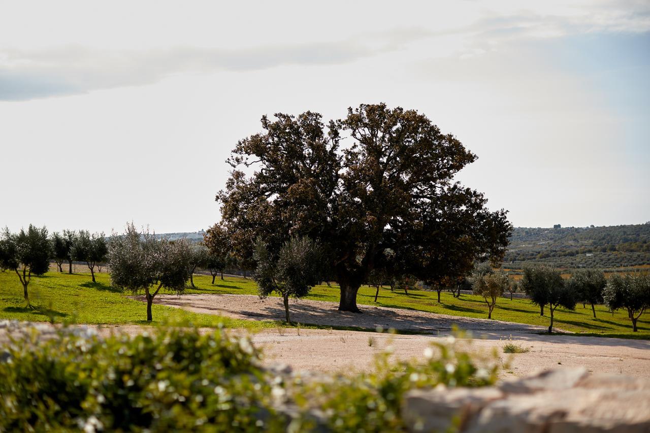 Masseria Grieco Ostuni Luaran gambar